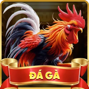 Khuyến mãi hấp dẫn K9CC